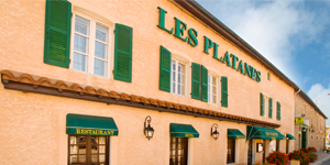 Les Platanes Hotel, Restaurant à Pont de Vaux