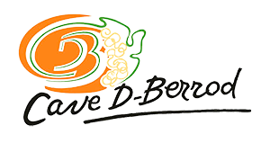 Logo BR AUDIT