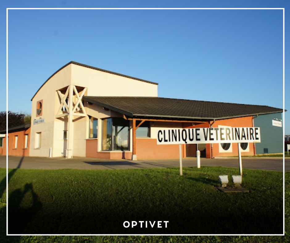 Optivet Optivet