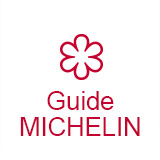 guide Michelin Le Raisin  Pont de Vaux