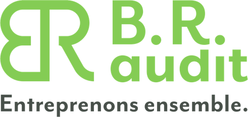 Logo BR AUDIT