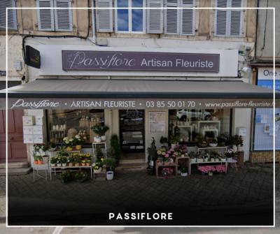 Passiflore Passiflore