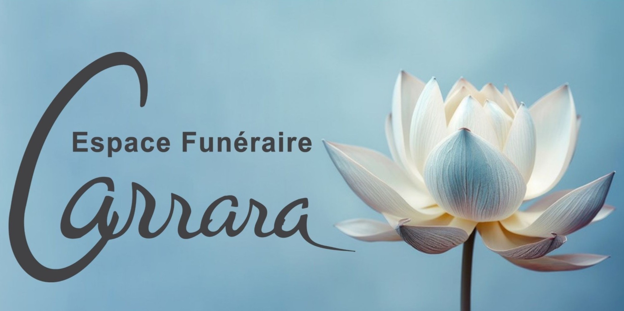 Logo Carrara