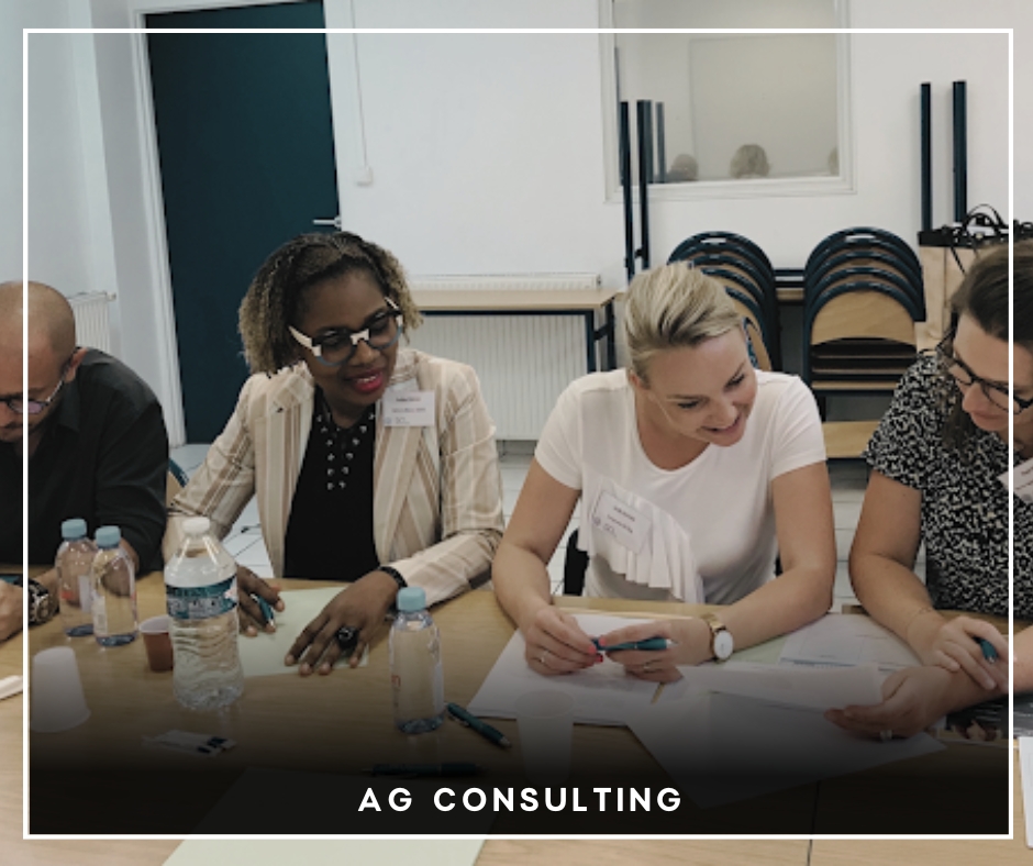 AG CONSULTING AG CONSULTING